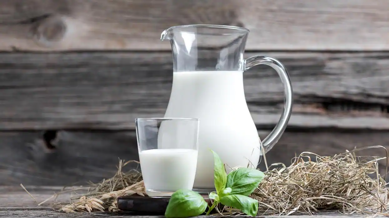 Leche